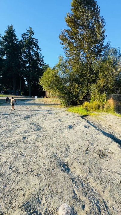 Angle Lake Park - 9/16/25 Beautiful day! - Parks Near Me - SeaTac, Washington