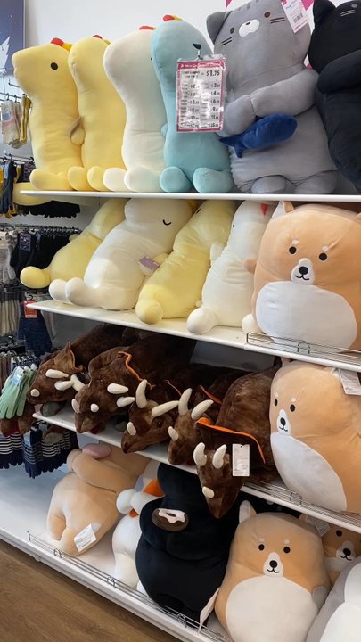 Daiso - Discount Store Near Me - La Canada Flintridge, California