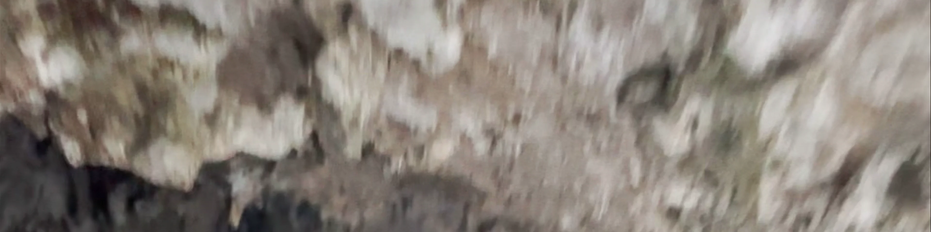 Turistično društvo Škocjan