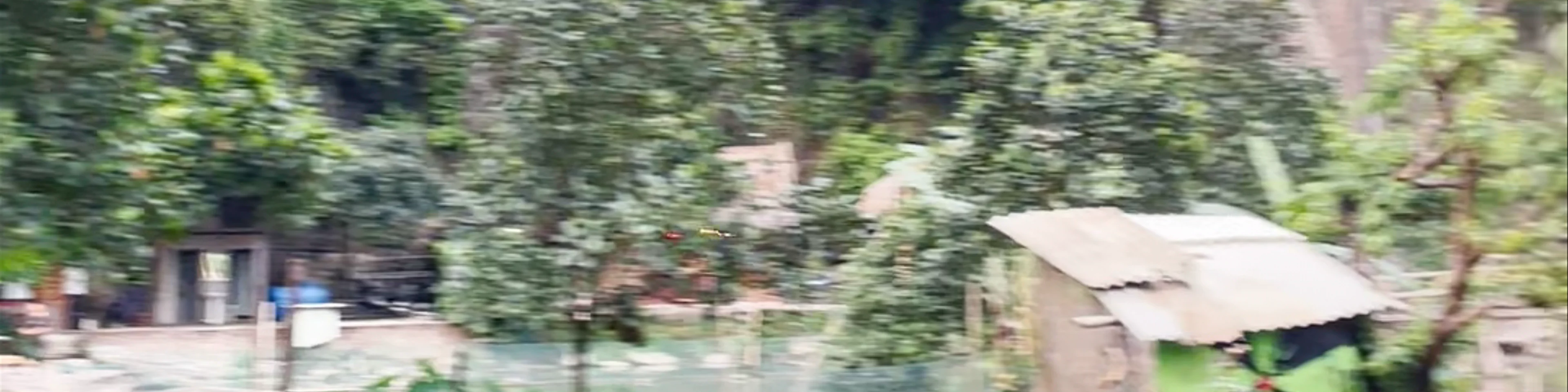 Water Loop