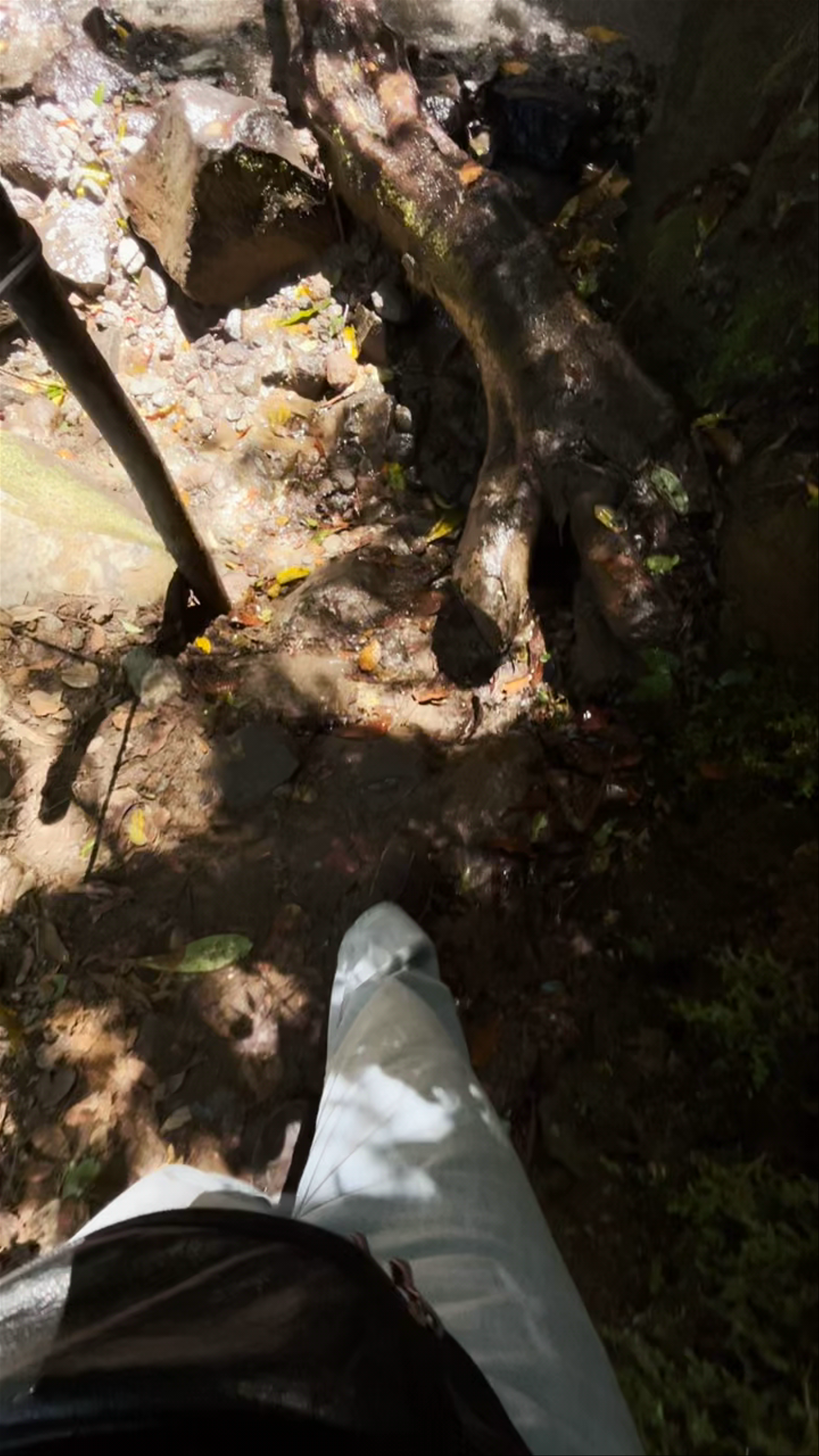 El Tigre Waterfalls Adventure | Monteverde, Costa Rica