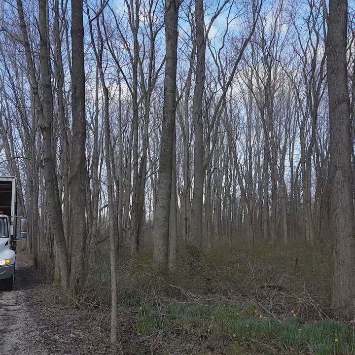 Salgado Towing - Towing Near Me - Markham, Illinois