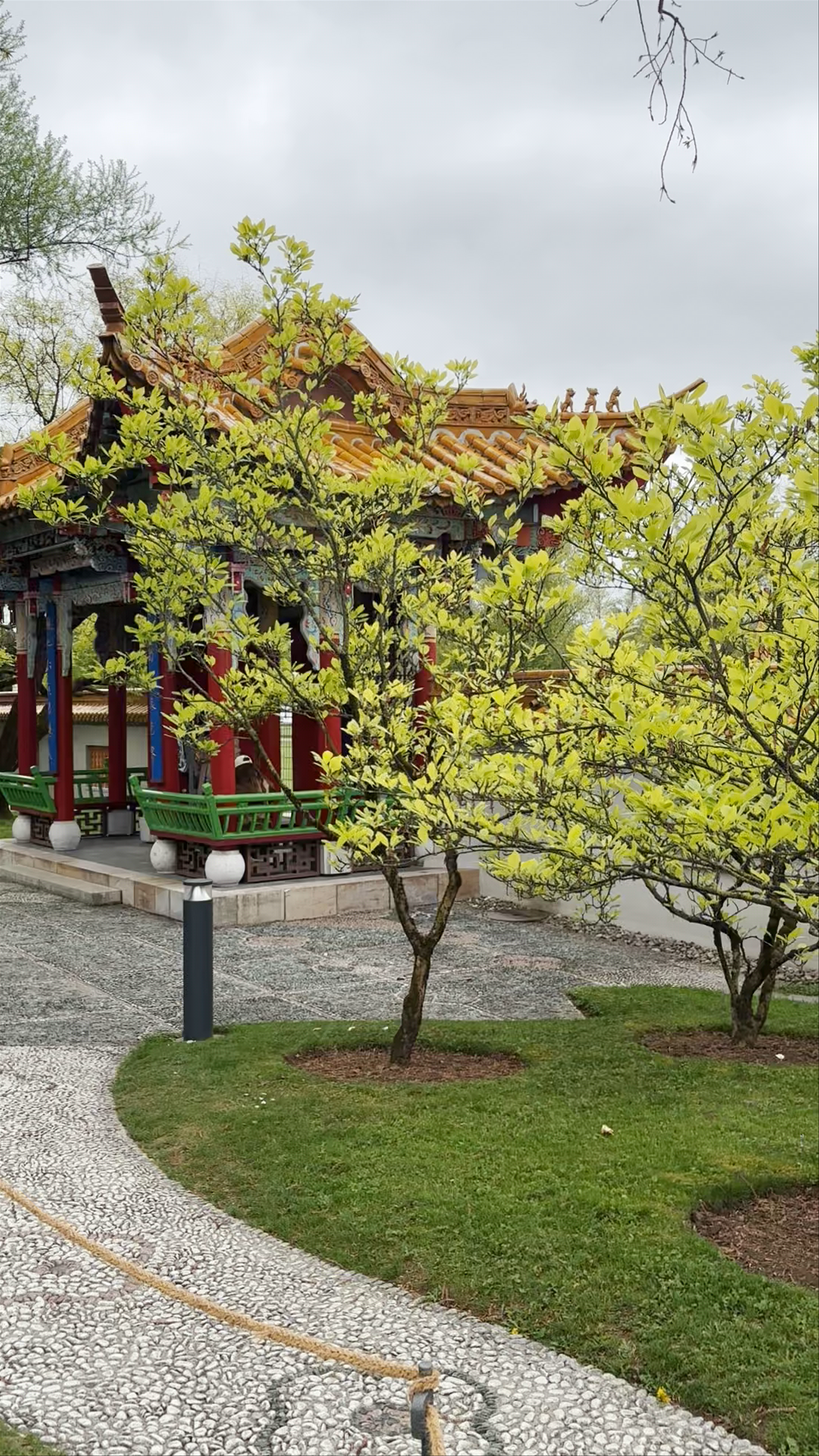 Jardín Chino de Zúrich: A Serene Escape into Chinese Garden Tranquility