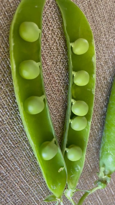 Dean's Produce - Yum - Fruits & Veggies Near Me - Millbrae, California