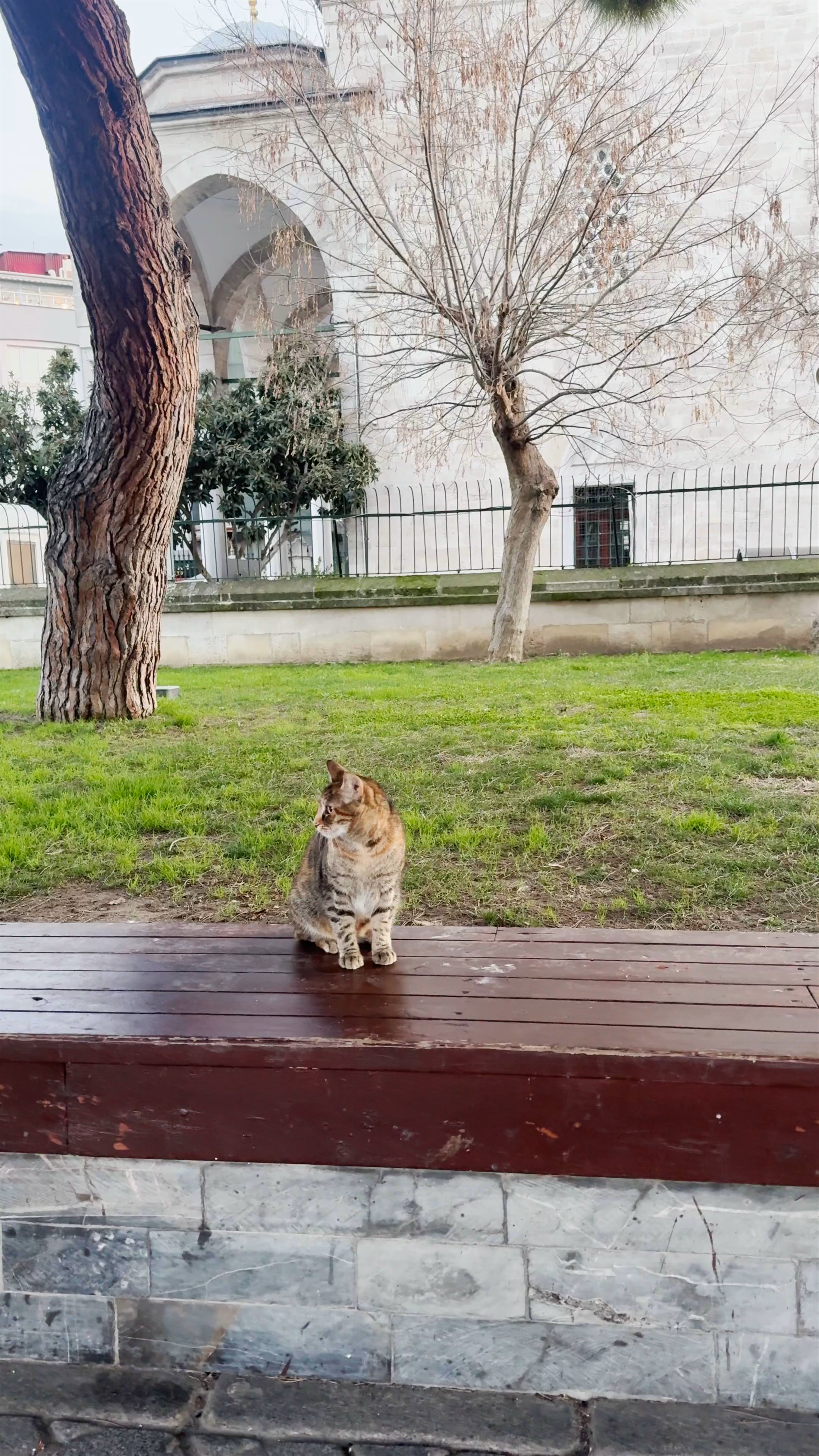Mehmet Akif Ersoy Park