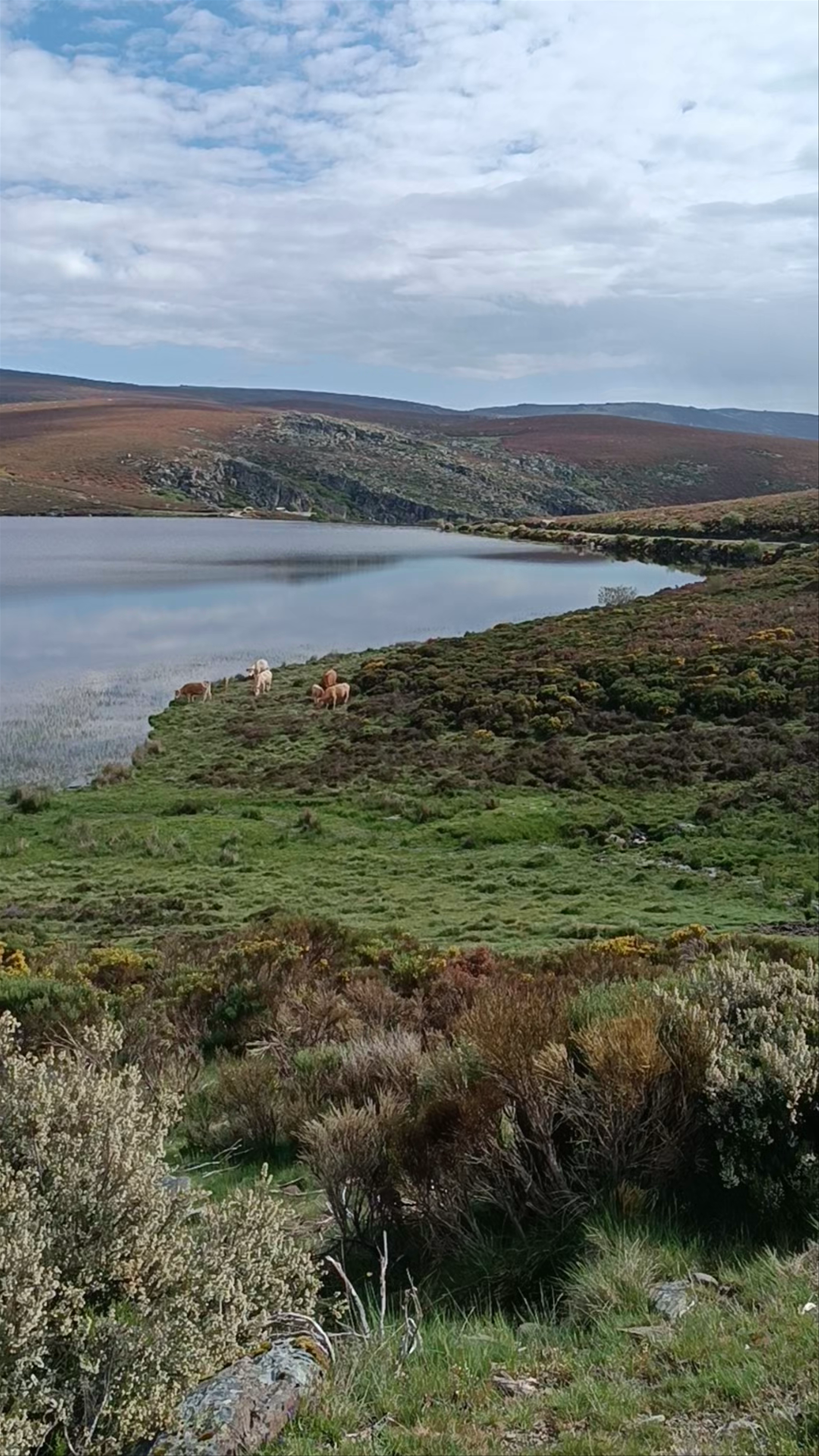 Aparcamiento de la Laguna de los Peces
