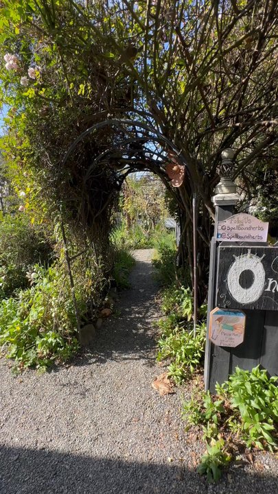 Spellbound Herbs - Enjoy this mini walk thru this garden. - Nurseries & Gardening Near Me - Cambria, California