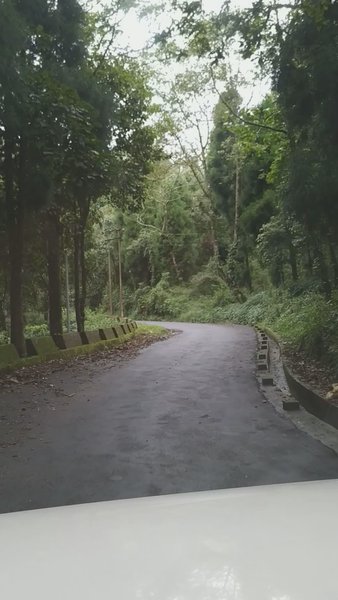 Photo of Into the poem.