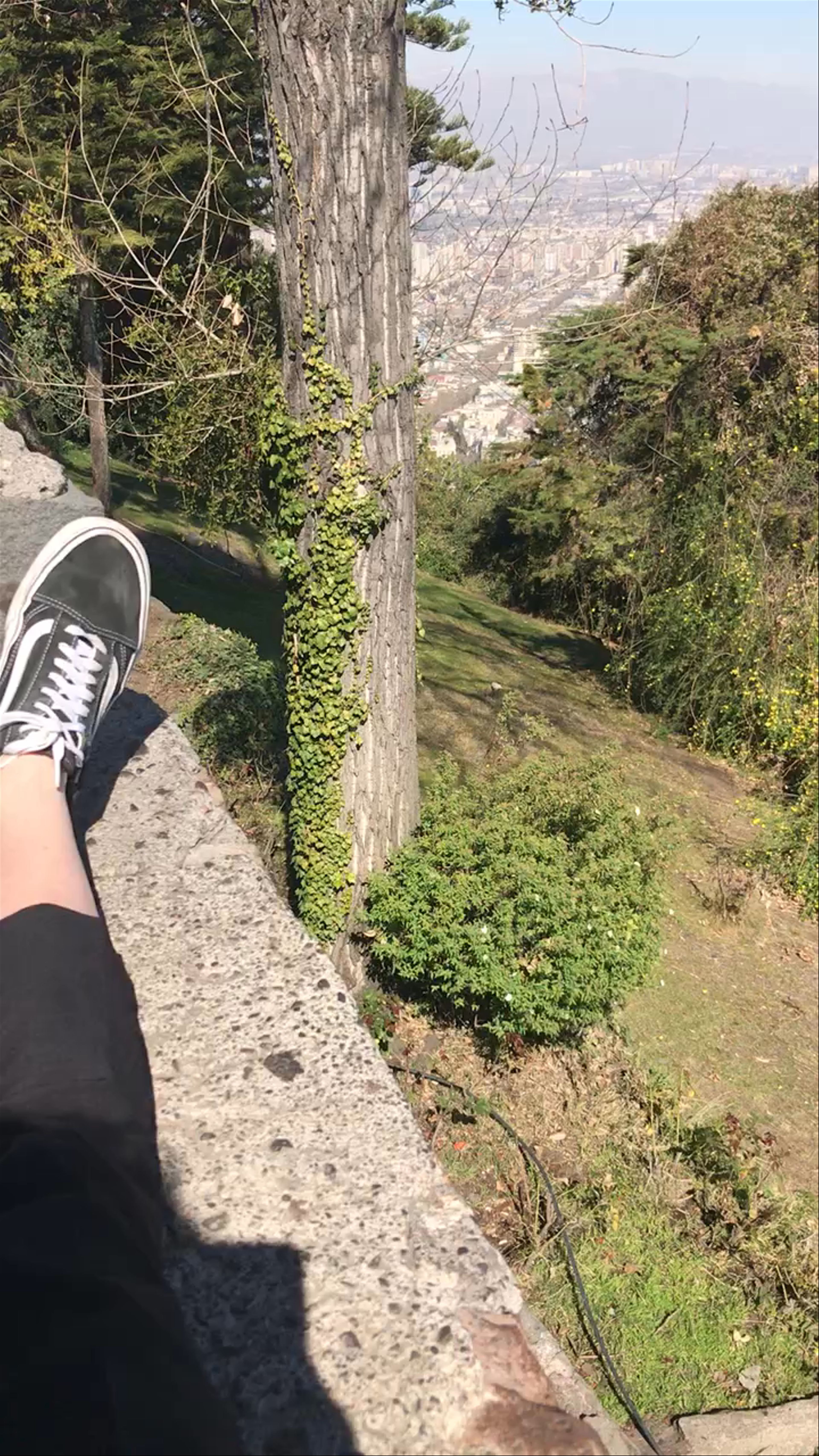 Parque Metropolitano de Santiago - Pío Nono