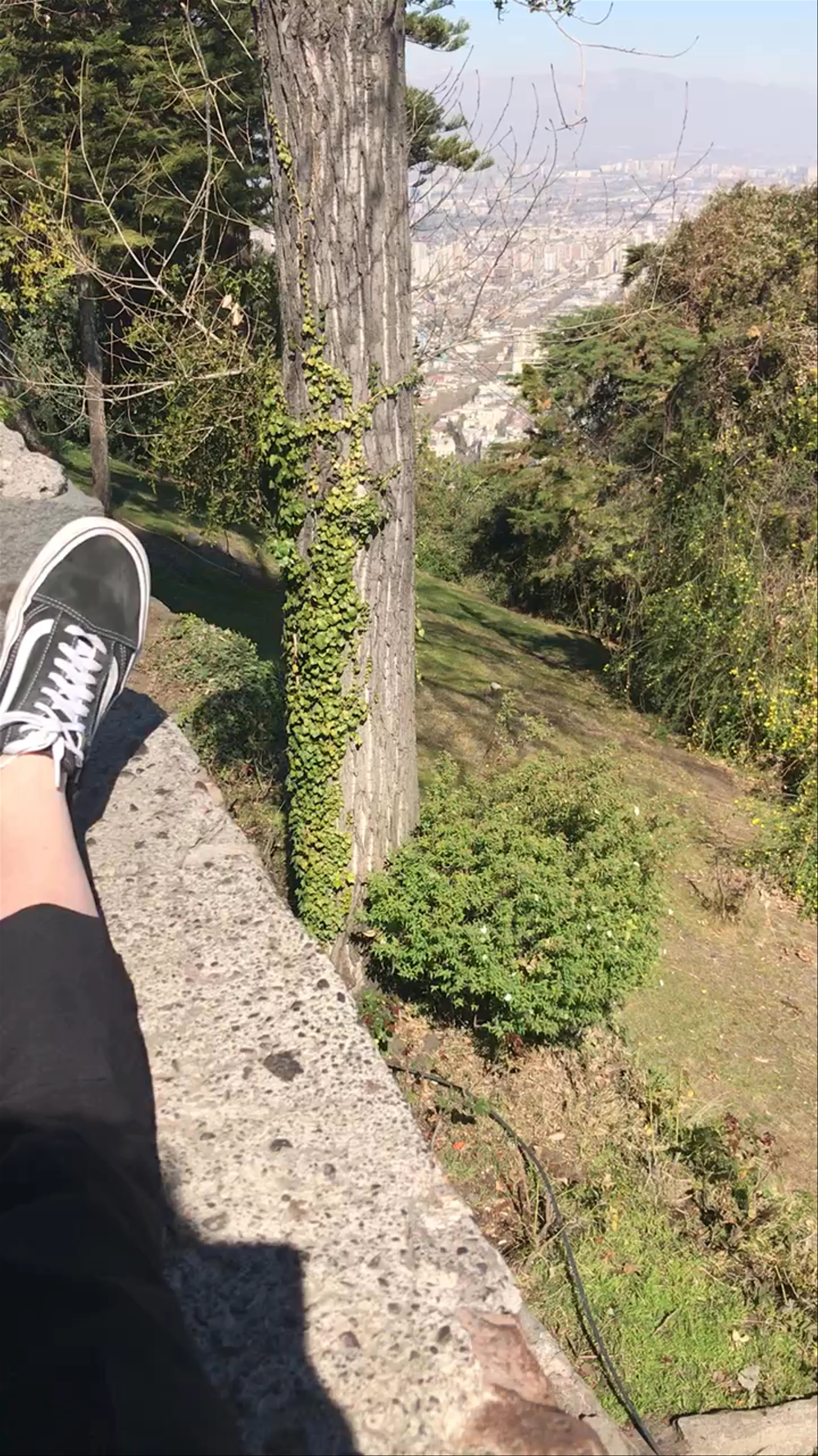 Parque Metropolitano de Santiago - Pío Nono