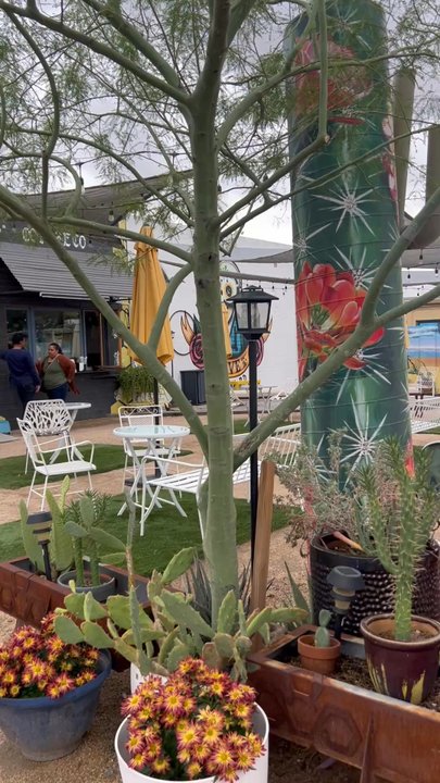 Honeycomb Coffee Co - Coffee & Tea Near Me - Phoenix, Arizona
