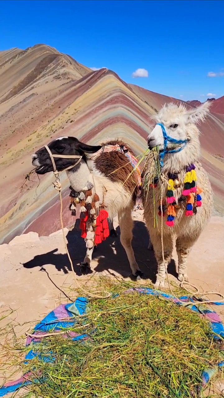 add this to the bucket list ✈️
📍 Machu Picchu
🎥 Nathan Delinois · Pexels
#travel #wanderlust #nature #adventure #vacation