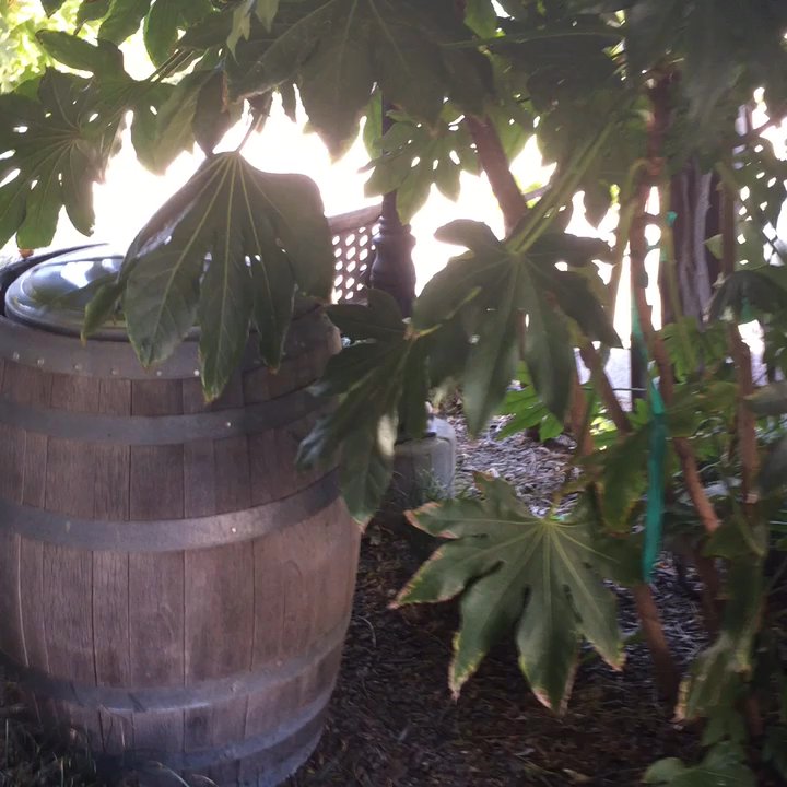 Windmill Ridge Winery - Walking in - Wineries Near Me - Tracy, California