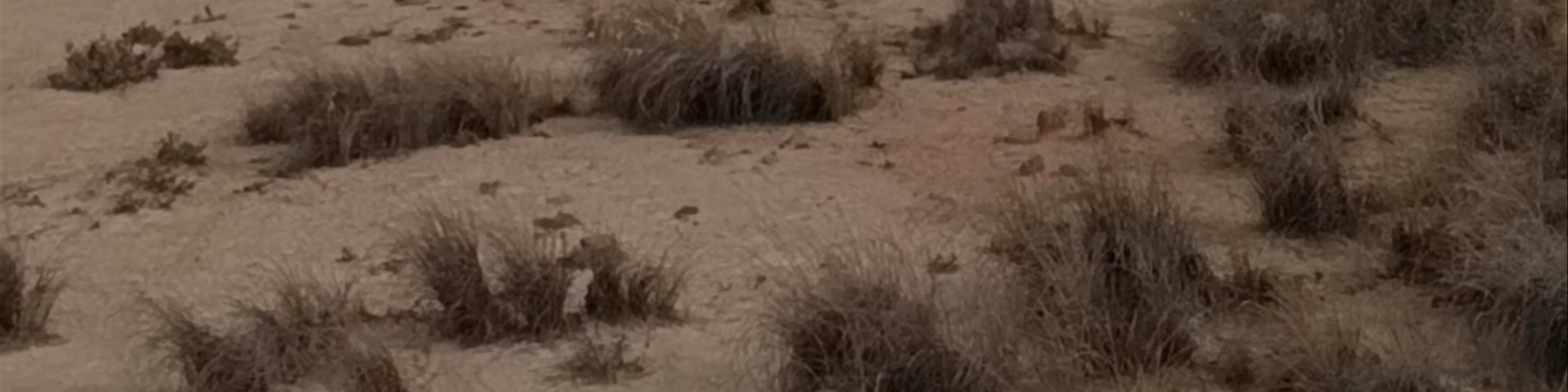 Bardenas Reales de Navarra