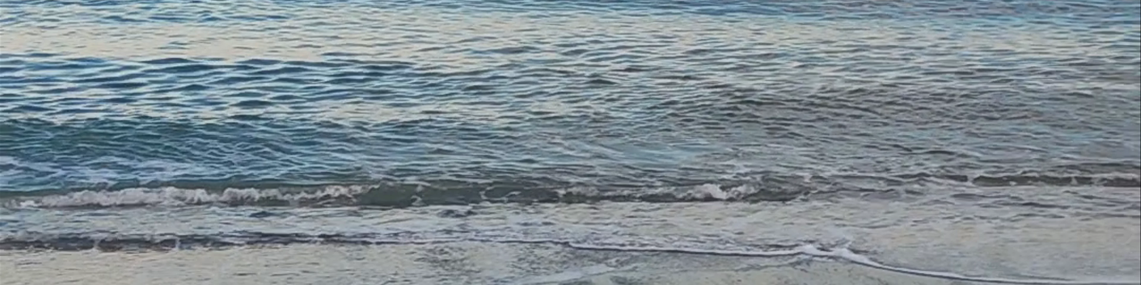 Playa de los Álamos
