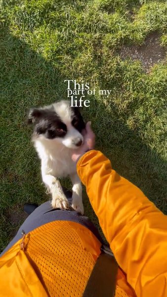 Photo of Happy in Romania!