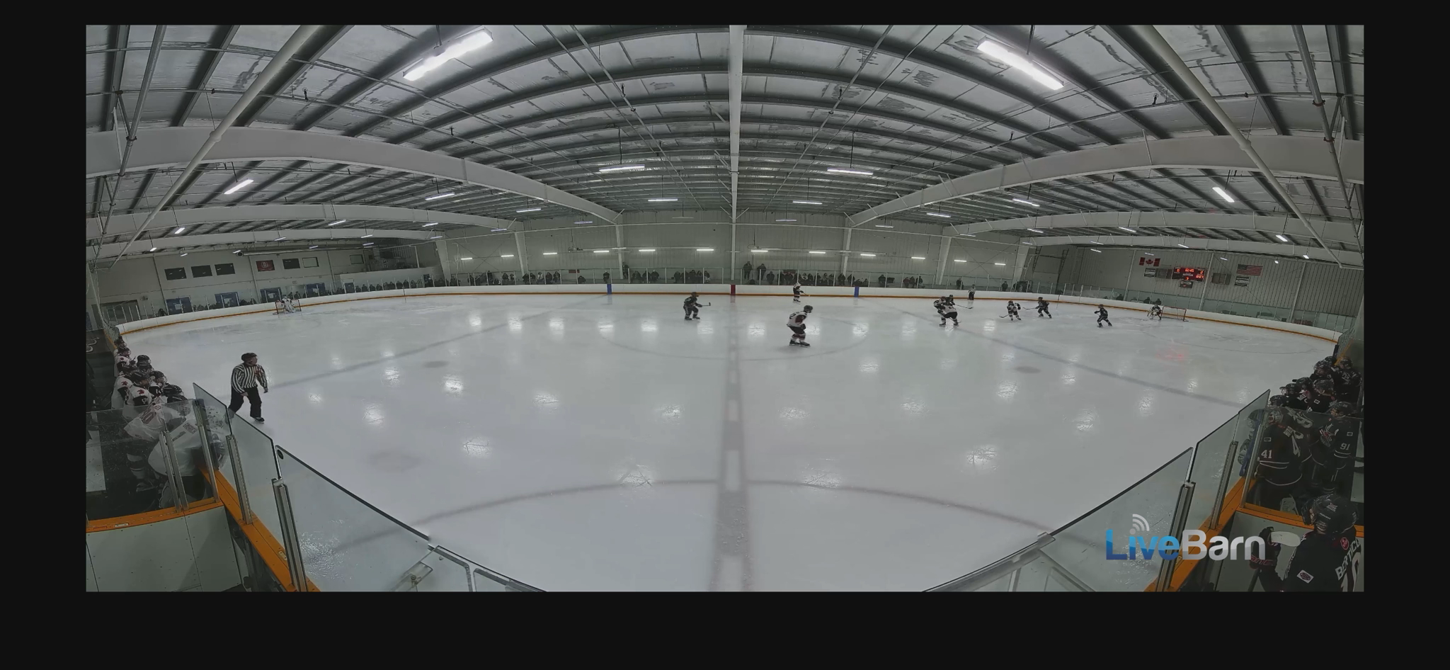 Cooper Niquet's Shorthanded Goal: A Standout PK Shift!