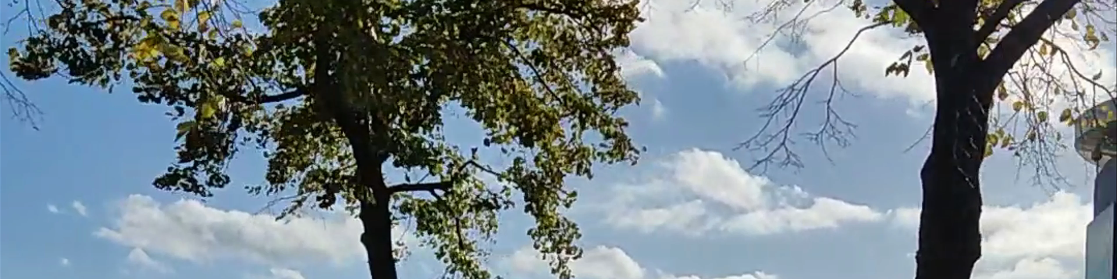PARK