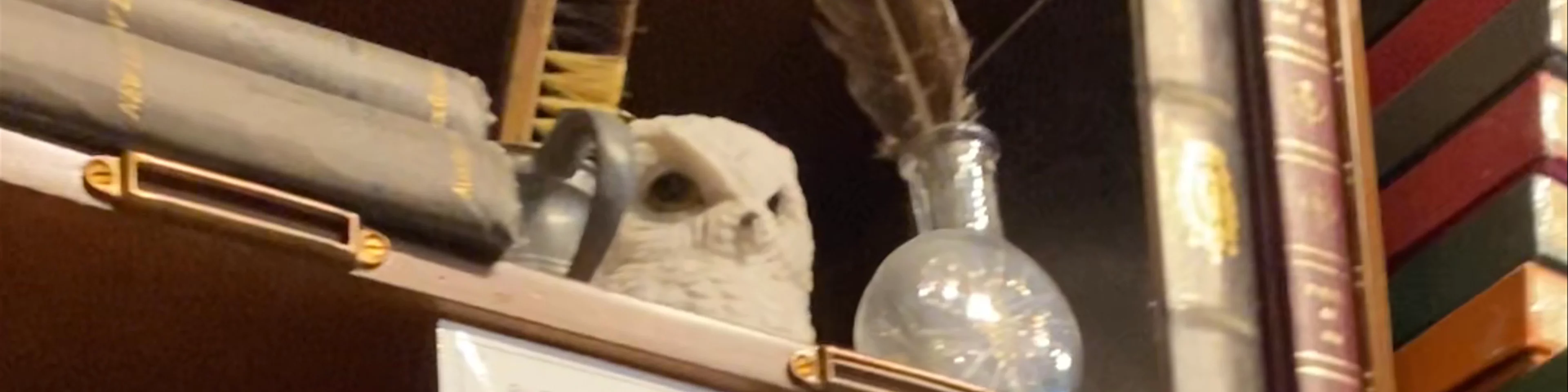 Museum Context: Retailer of Harry Potter Merchandise