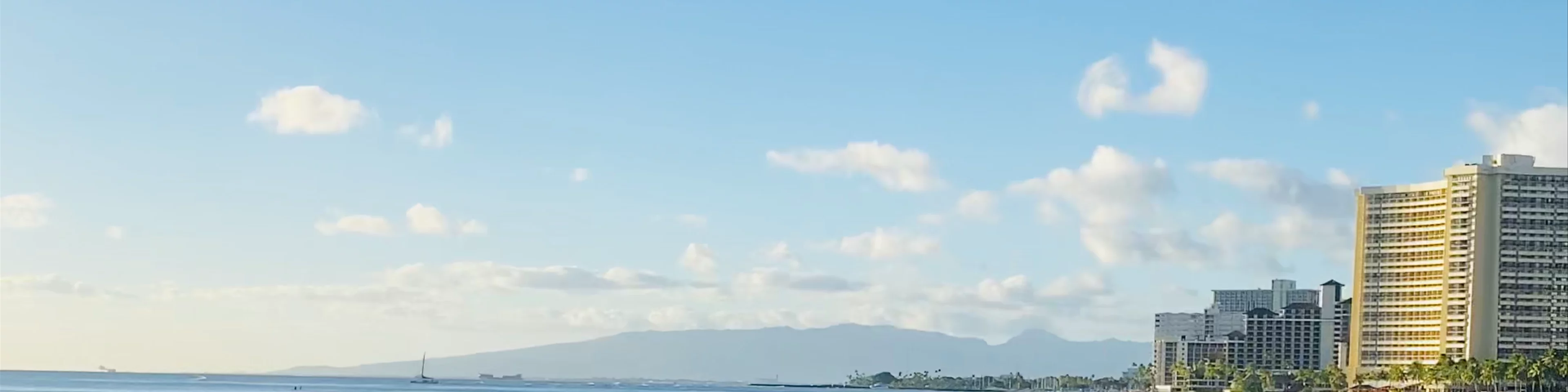 Waikiki Wall