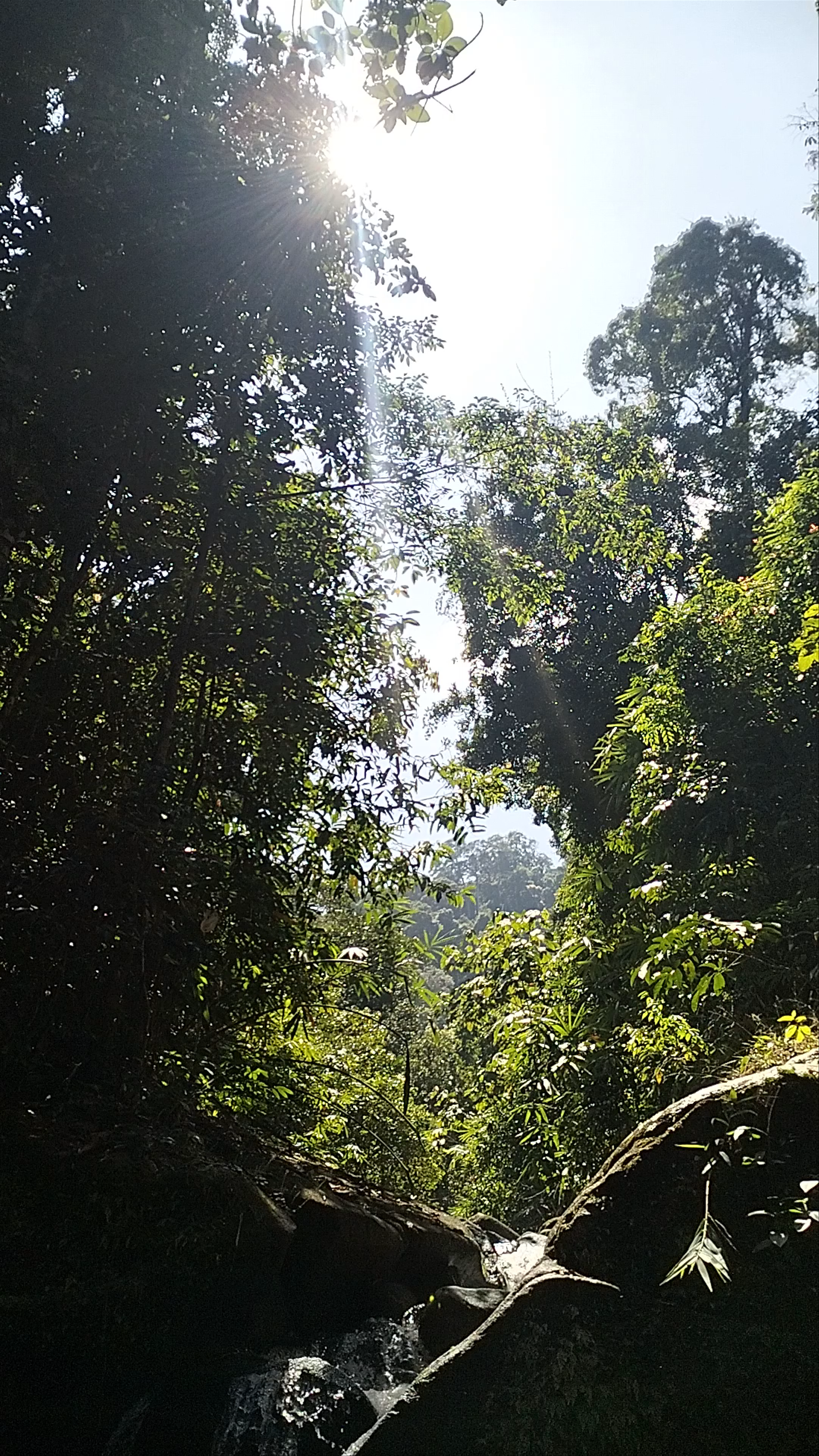 Khao Lak Lam Ru National Park: Pristine Jungle Waterfall Escape