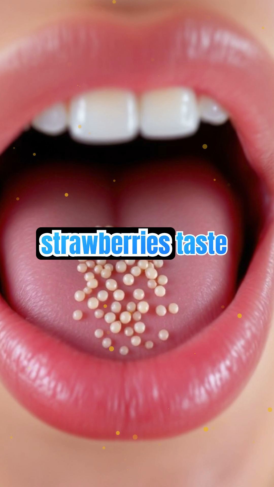 The Science of Taste: How We Experience Flavors