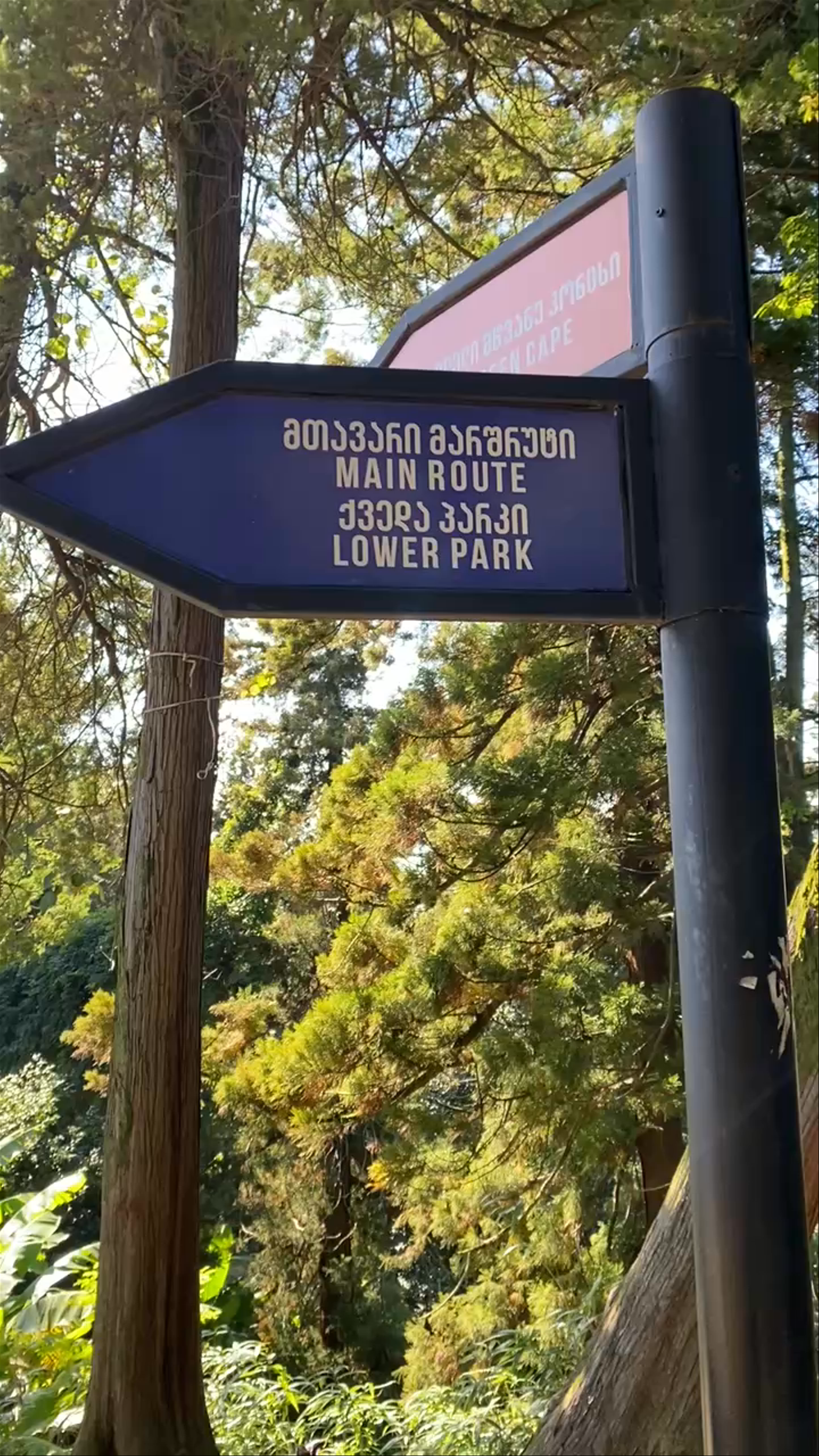 Batumi Botanical Garden
