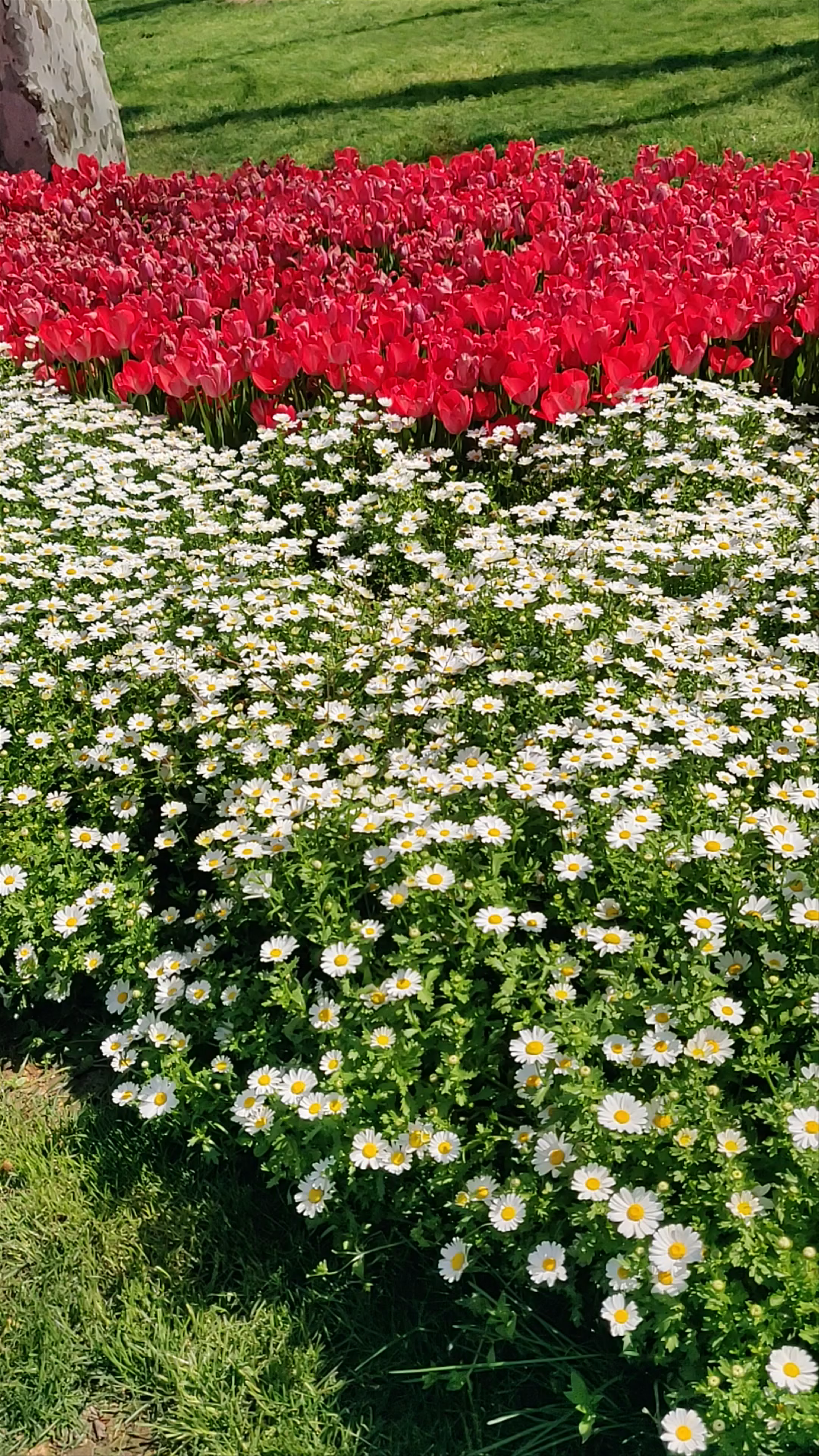 Gülhane Parkı