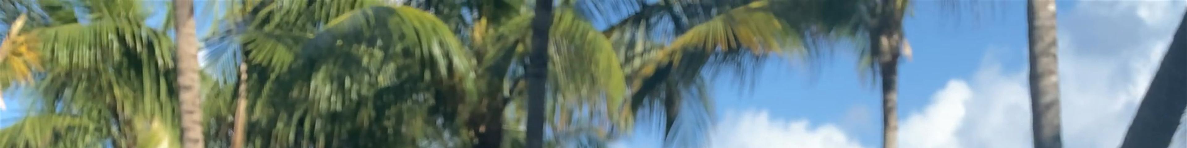 Tours & experiences in Cuba