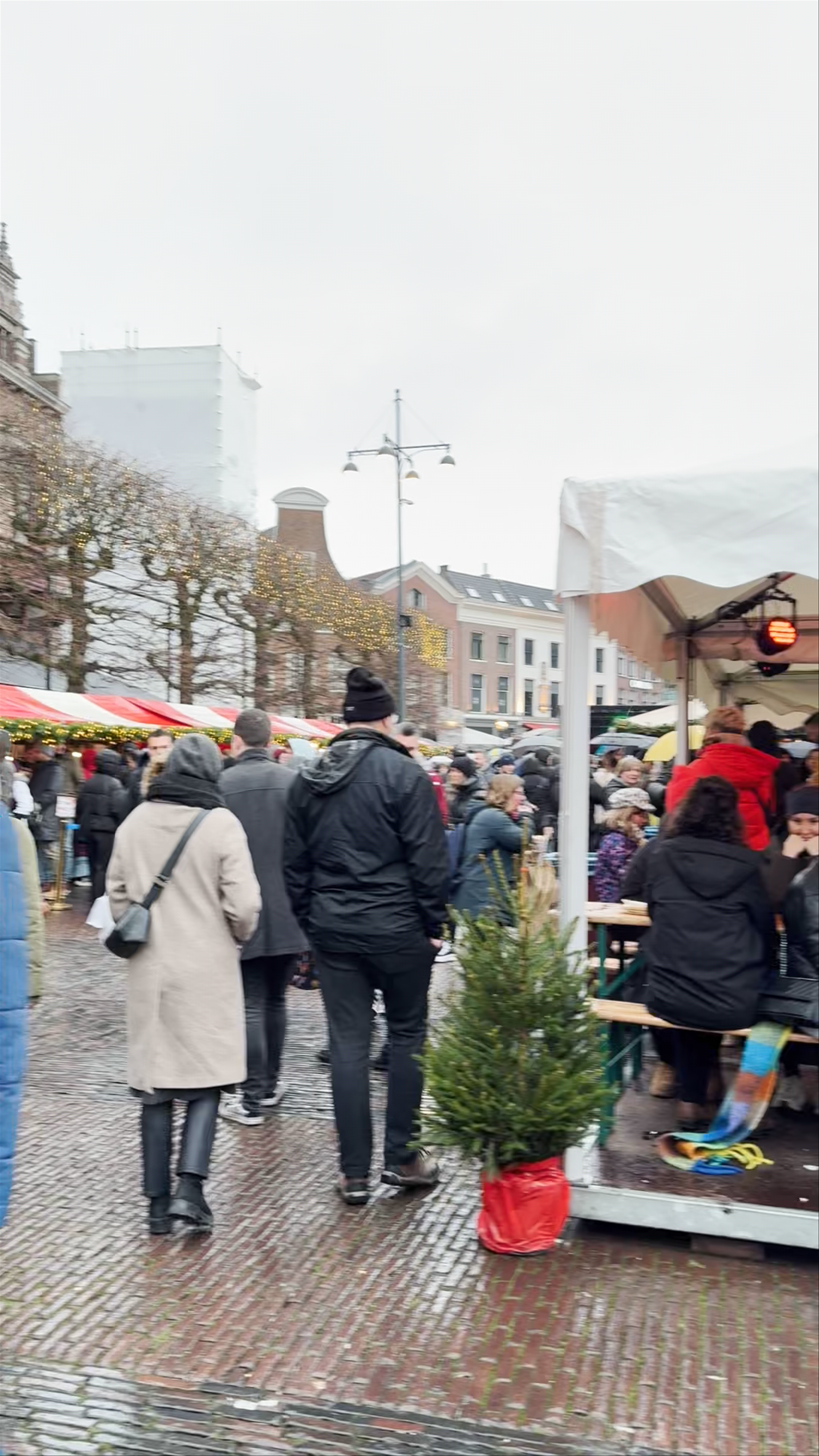 Winter Market Magic at Grote Markt, Haarlem