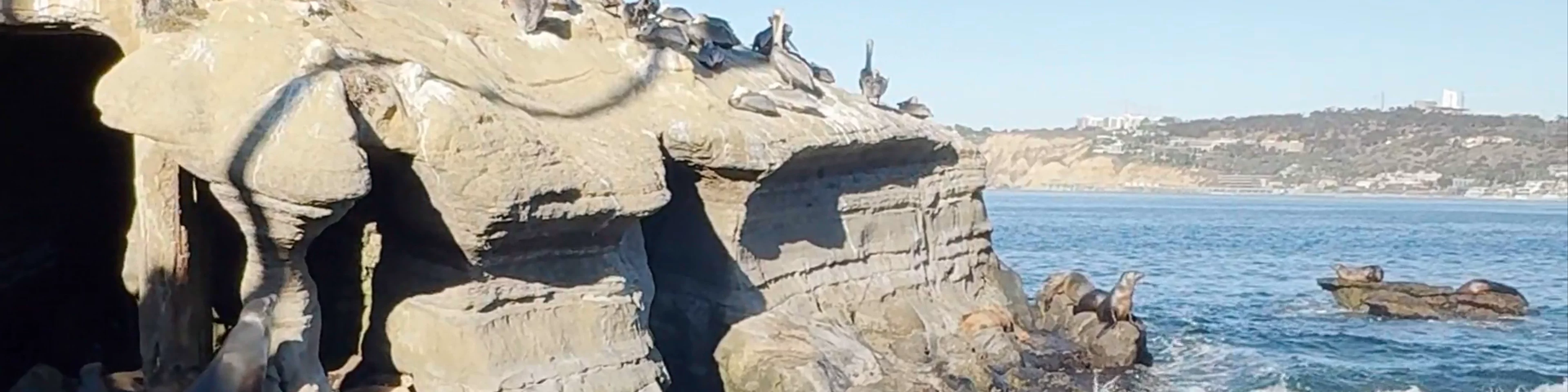 La Jolla Cove