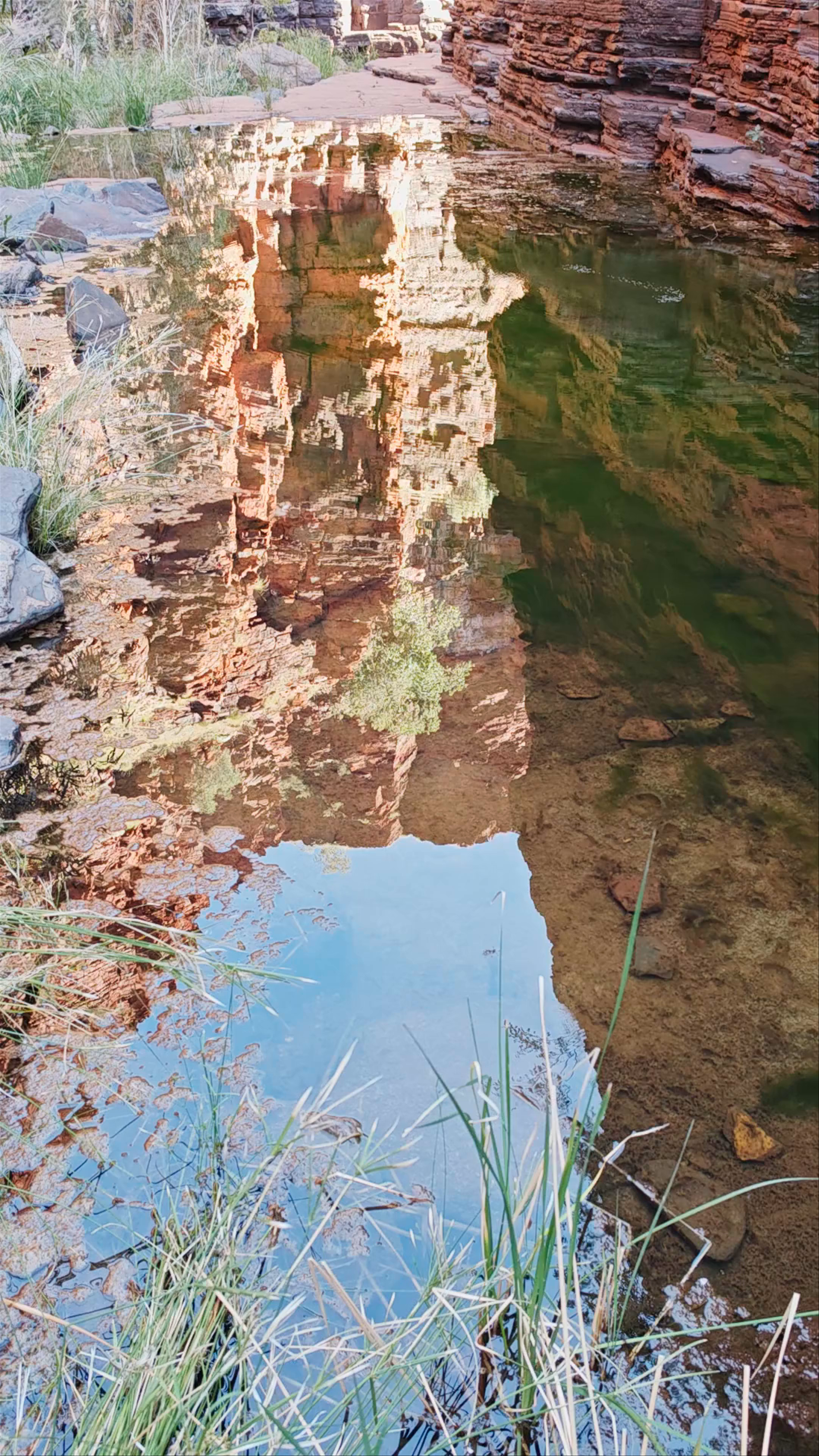 Knox Gorge