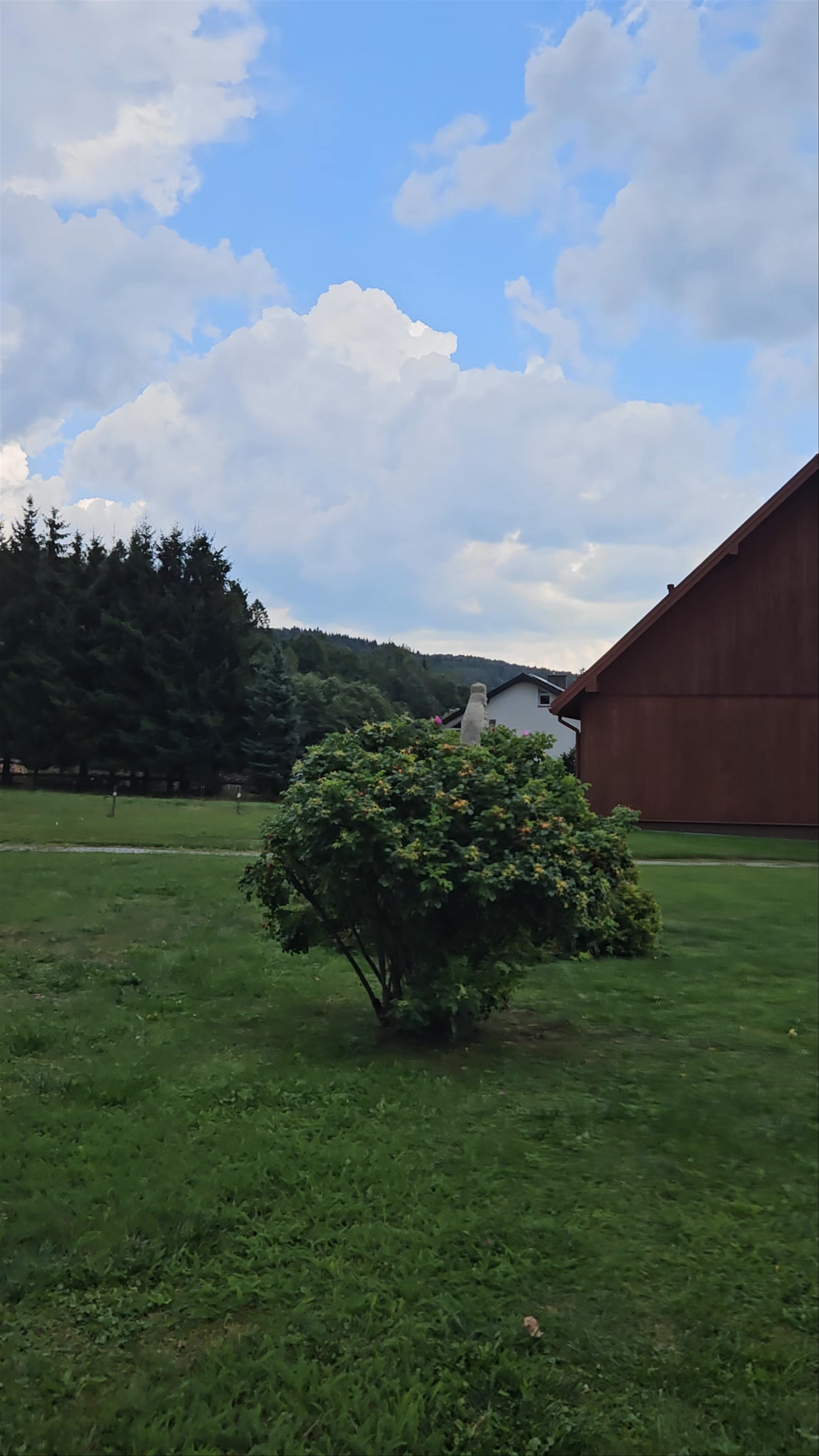 Dawna greckokatolicka cerkiew pw. św. Kosmy i Damiana w Krempnej