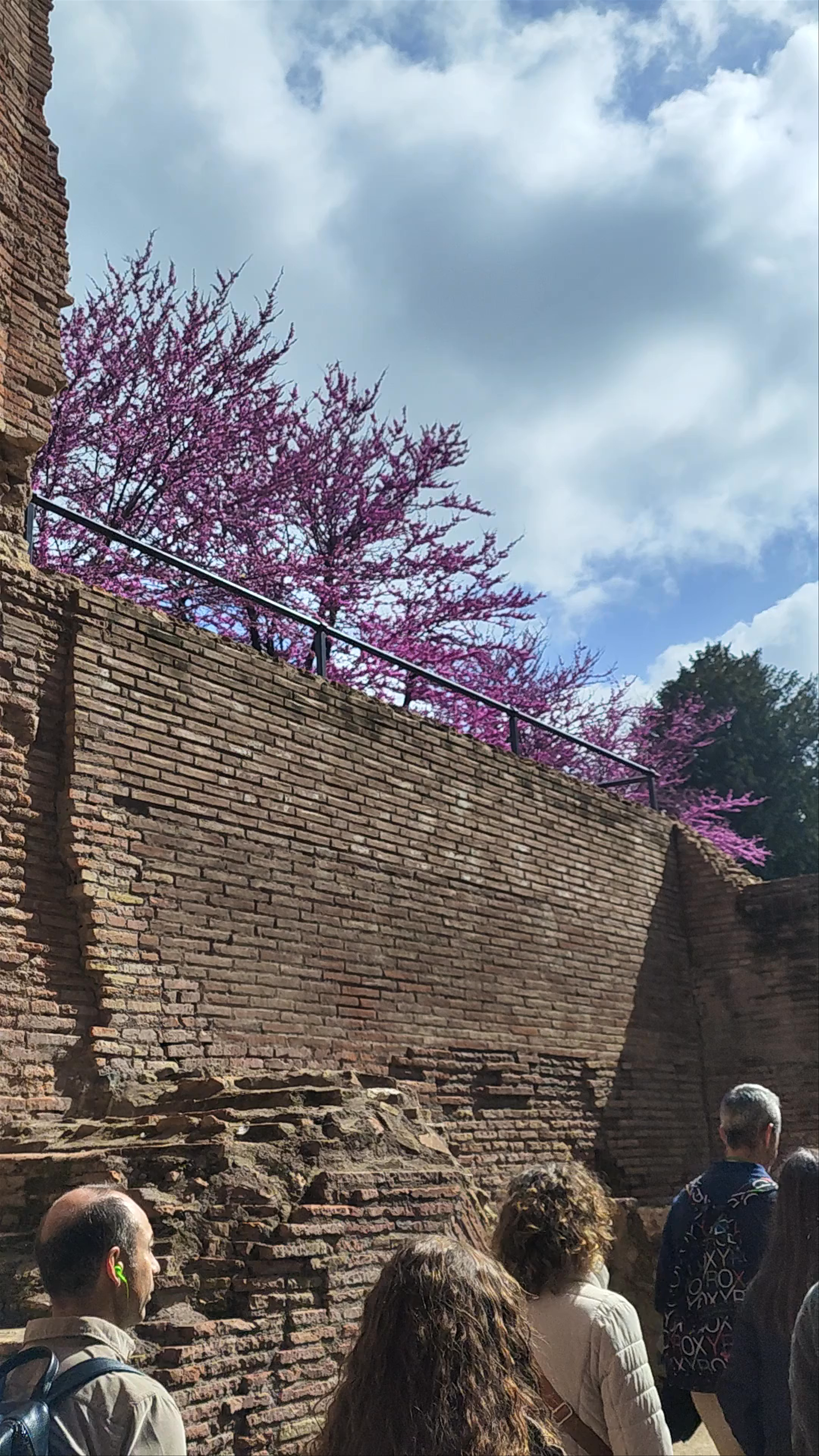 Arco di Tito: Exploring Ancient Roman Majesty in Springtime Rome