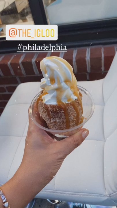 The Igloo - Looks delicious. Churro tasted stale, like cardboard. Don't order it. - Ice Cream & Frozen Yogurt Near Me - Philadelphia, Pennsylvania