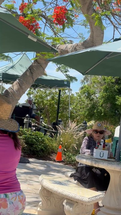 Cabbage Key - Coffee & Tea Near Me - Pineland, Florida