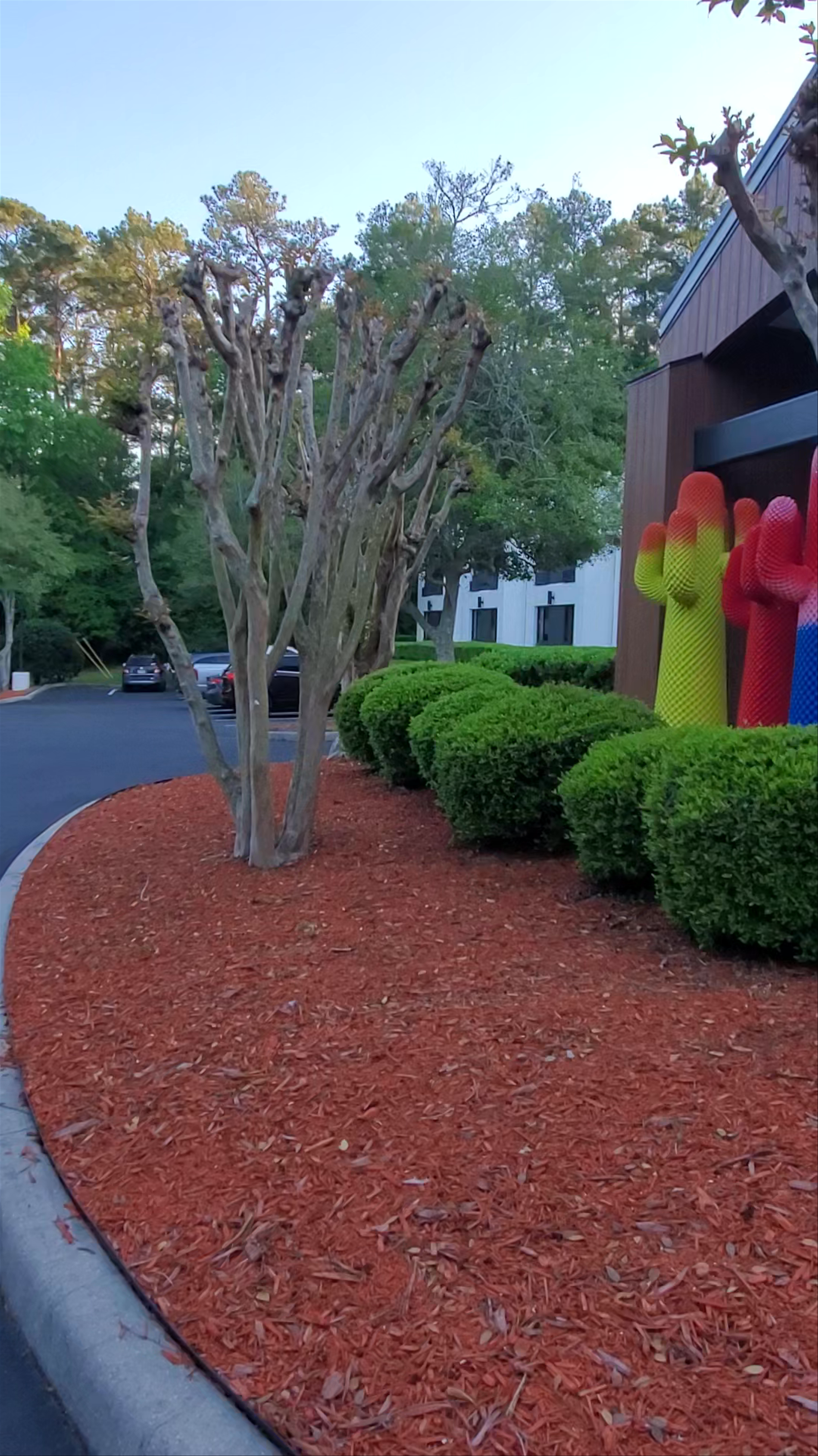 BOB Hotels Tallahassee - Boutique on Budget Experience