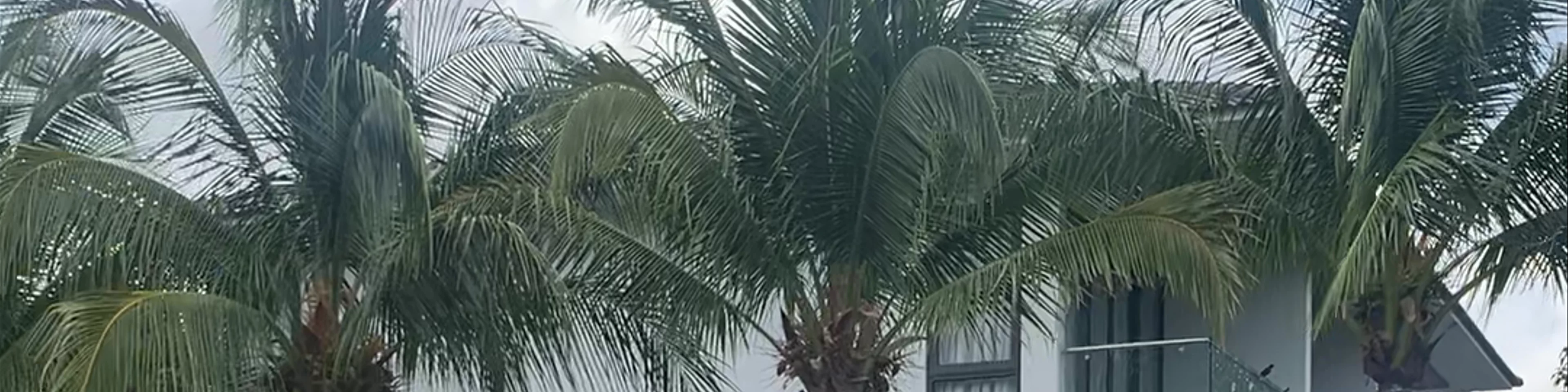 M Villas Phu Quoc