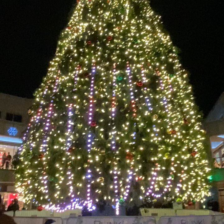 Blink! - A FREE EVENT! Blink Boston 350,000 LED Lights Synched to Christmas Songs on an 85 Foot Fir Tree adorned with Decorations Christmas 2019 - Local Flavor Near Me - Boston, Massachusetts