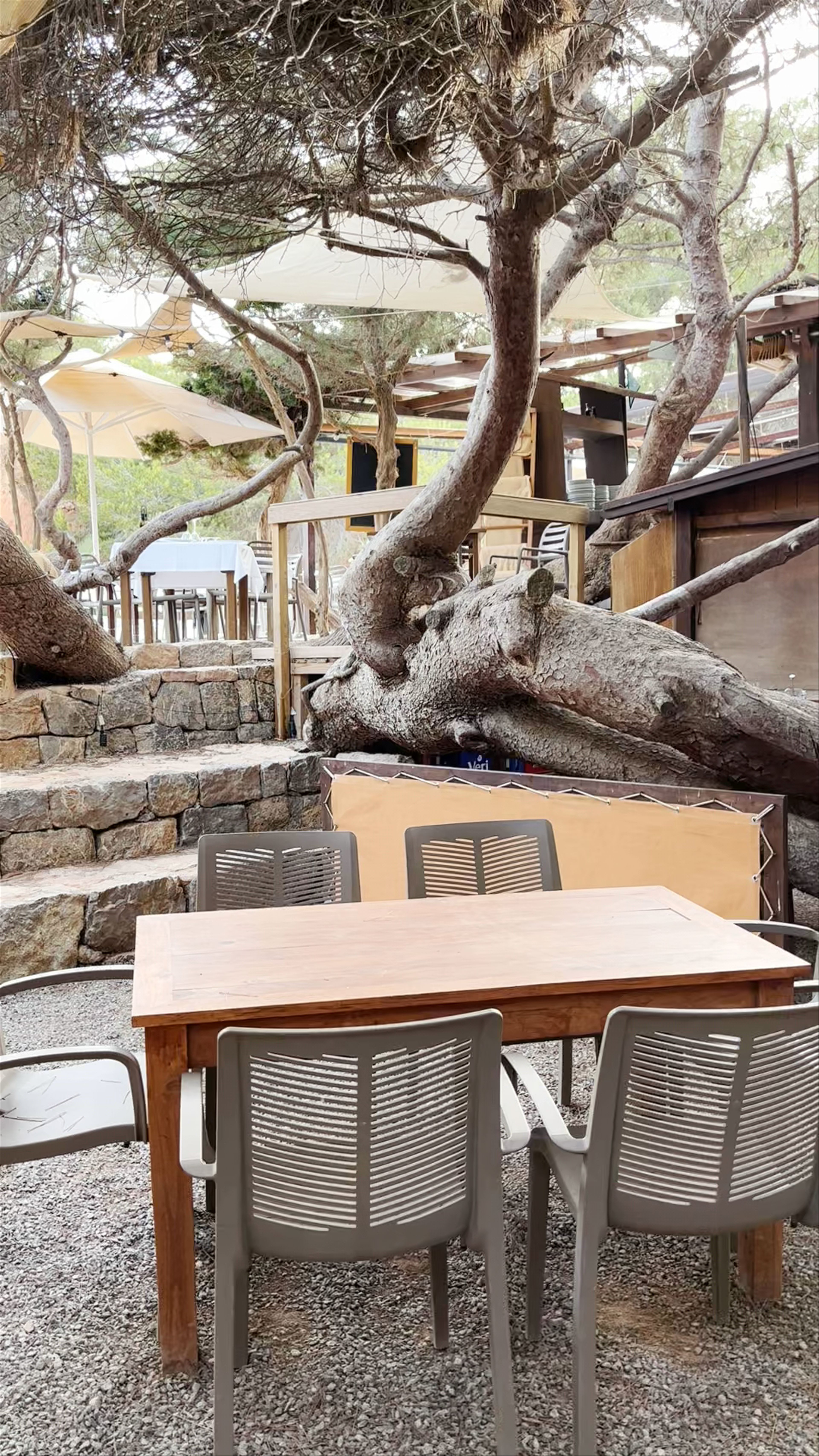 Restaurant Sa Caleta