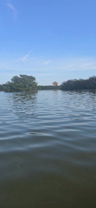 Cocoa Kayaking - Rafting/Kayaking Near Me - Cocoa Beach, Florida