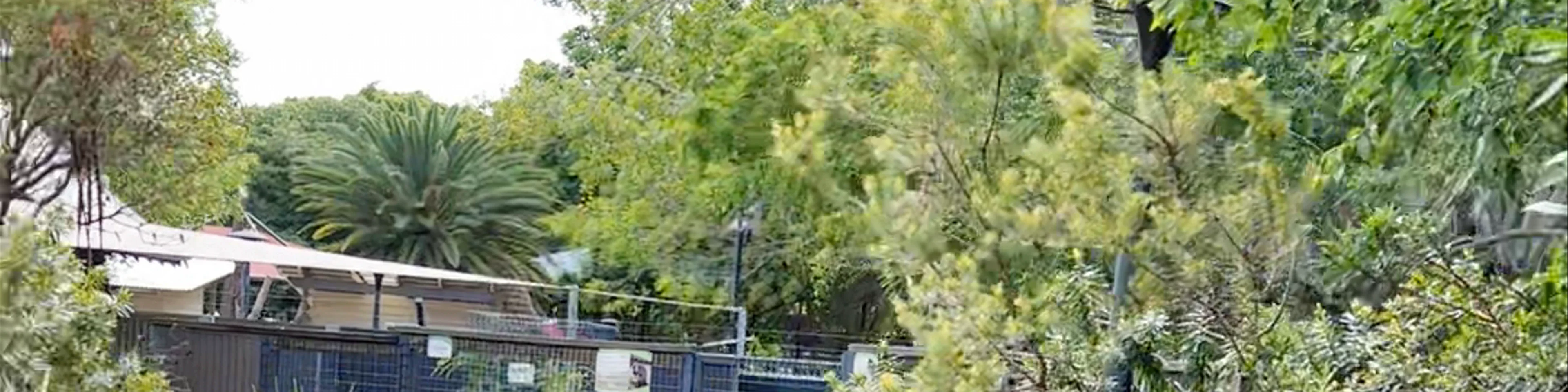 Alexandra Park Zoo