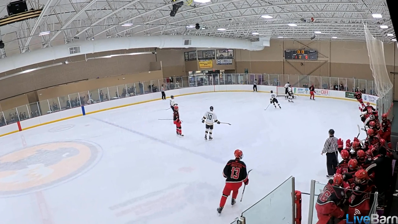 Colten Borgmann's Stunning Breakaway Goal vs OJG | Barons 15U AAA