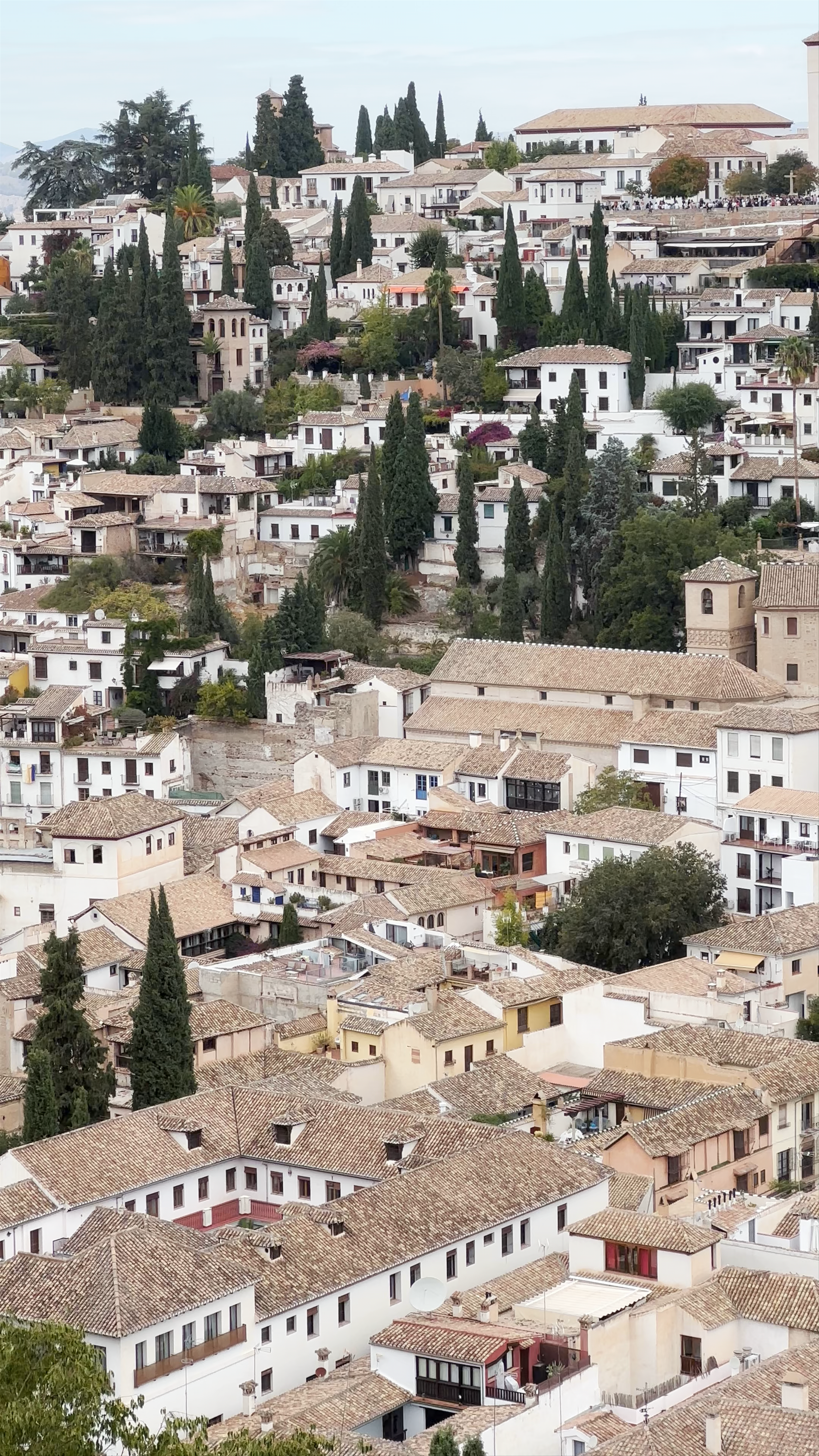 Nasrid Palaces