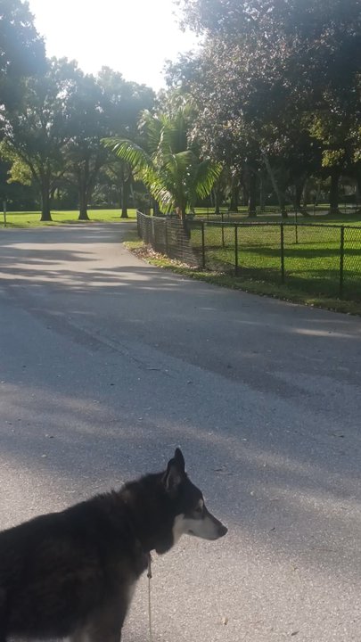 Find Dog Park - Dog Parks Near Me - Jupiter, Florida