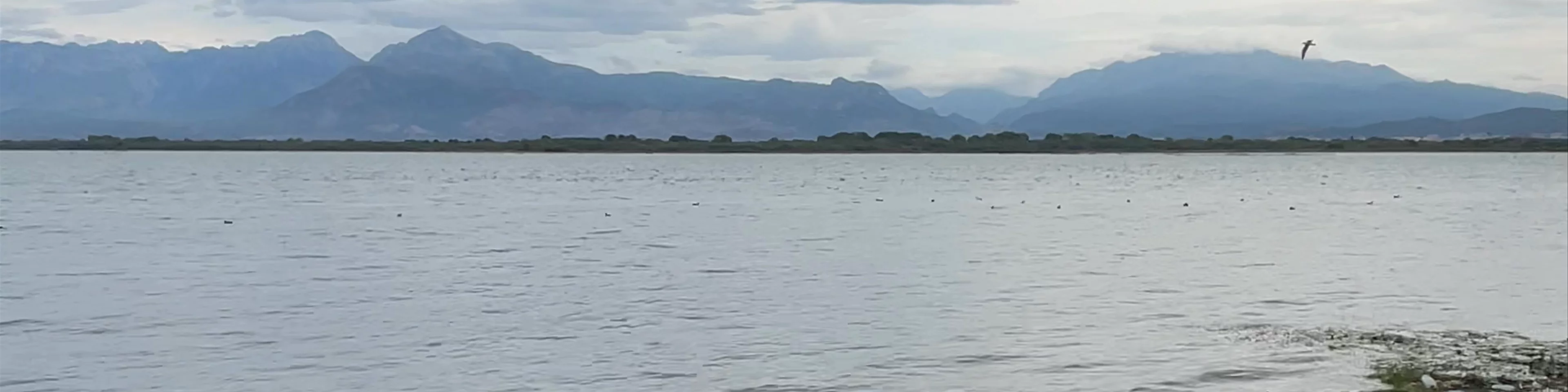 Lago Skadar