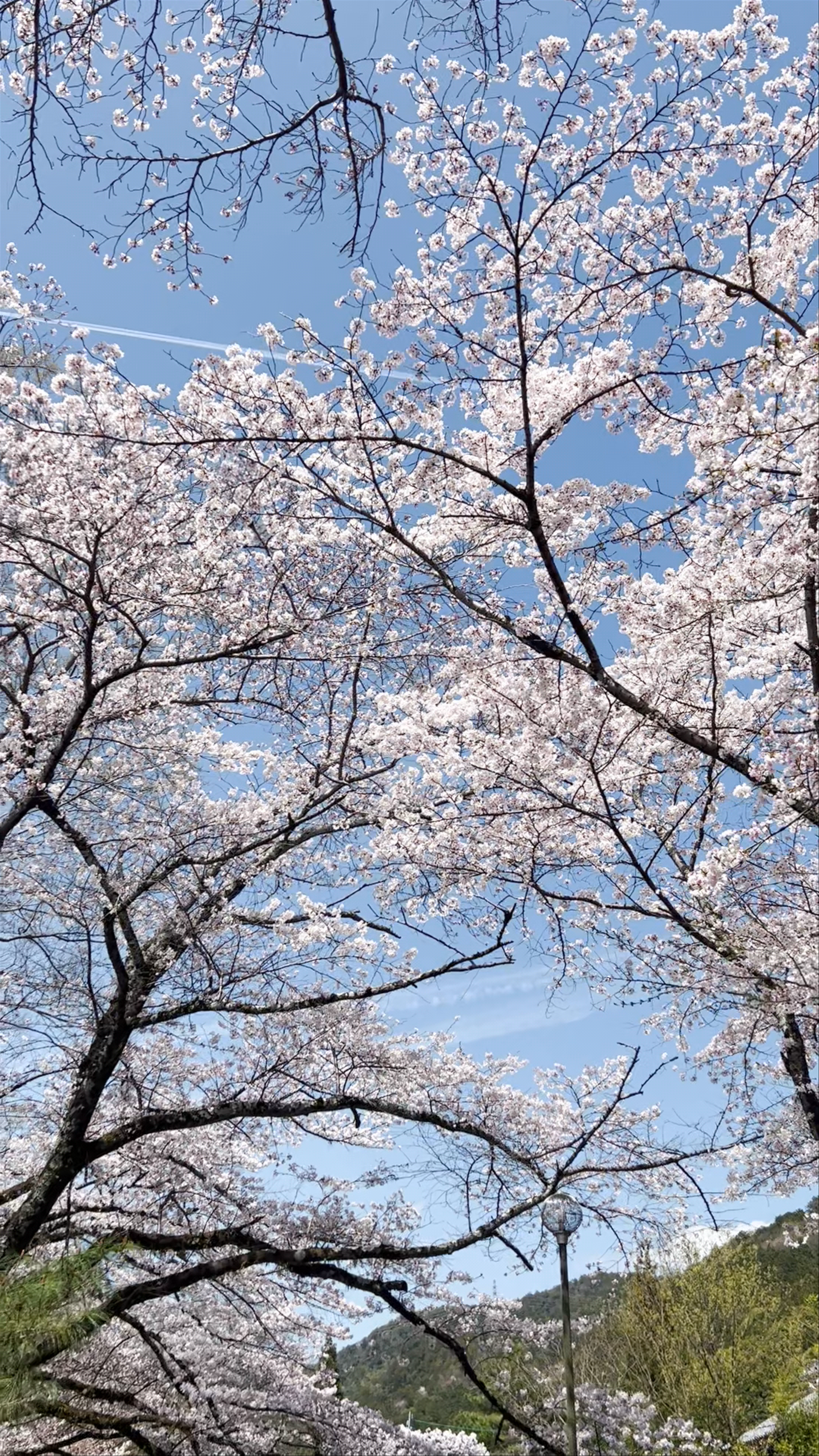 Yamashina Canal