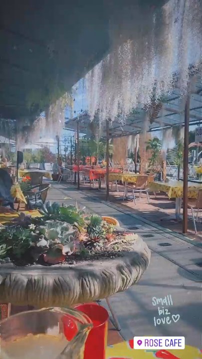 Rose Cafe - Great outdoor seating and great service plus cute patio with the airplants - Mexican Near Me - Santa Barbara, California