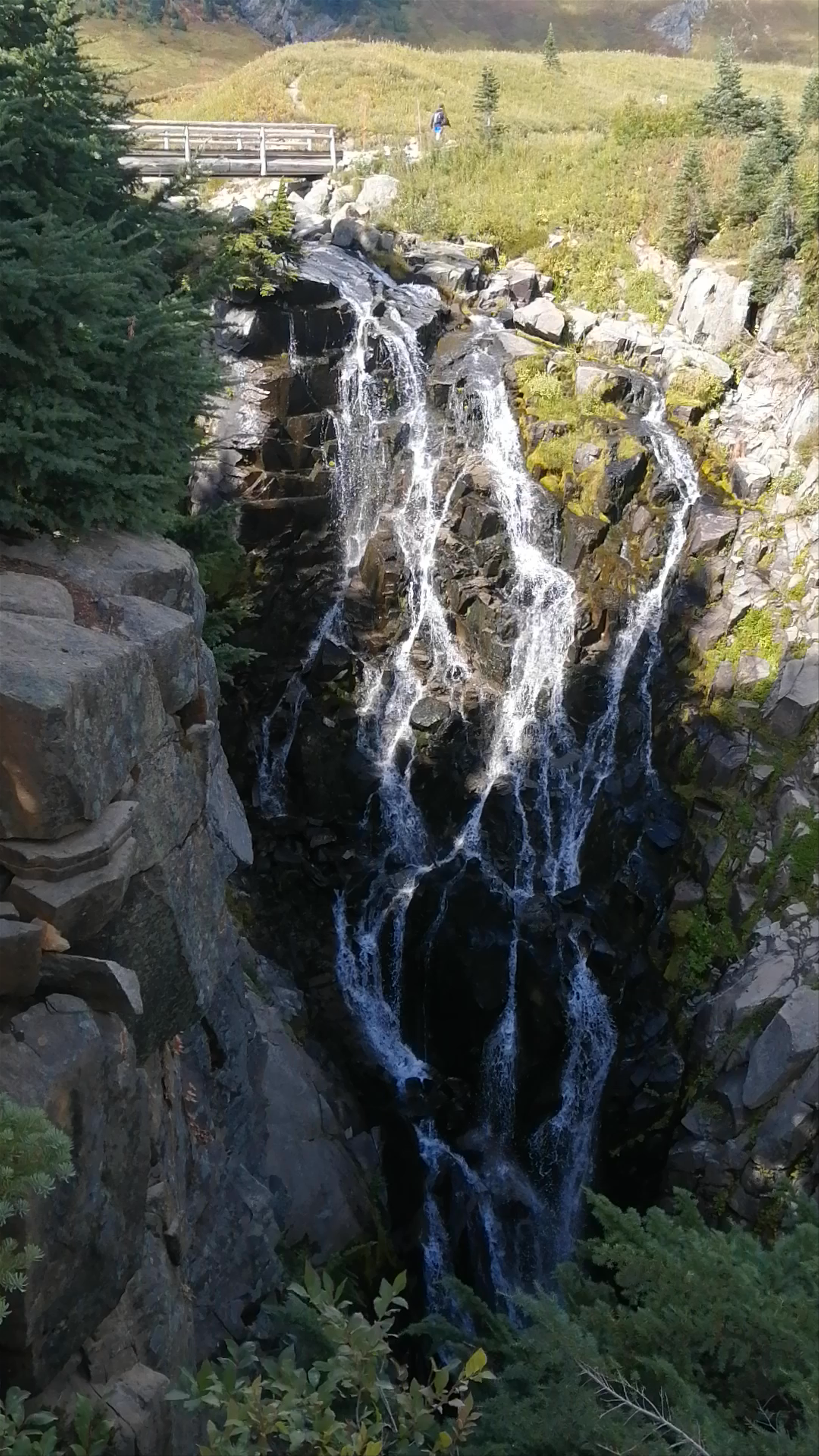 Mt Rainier National Park