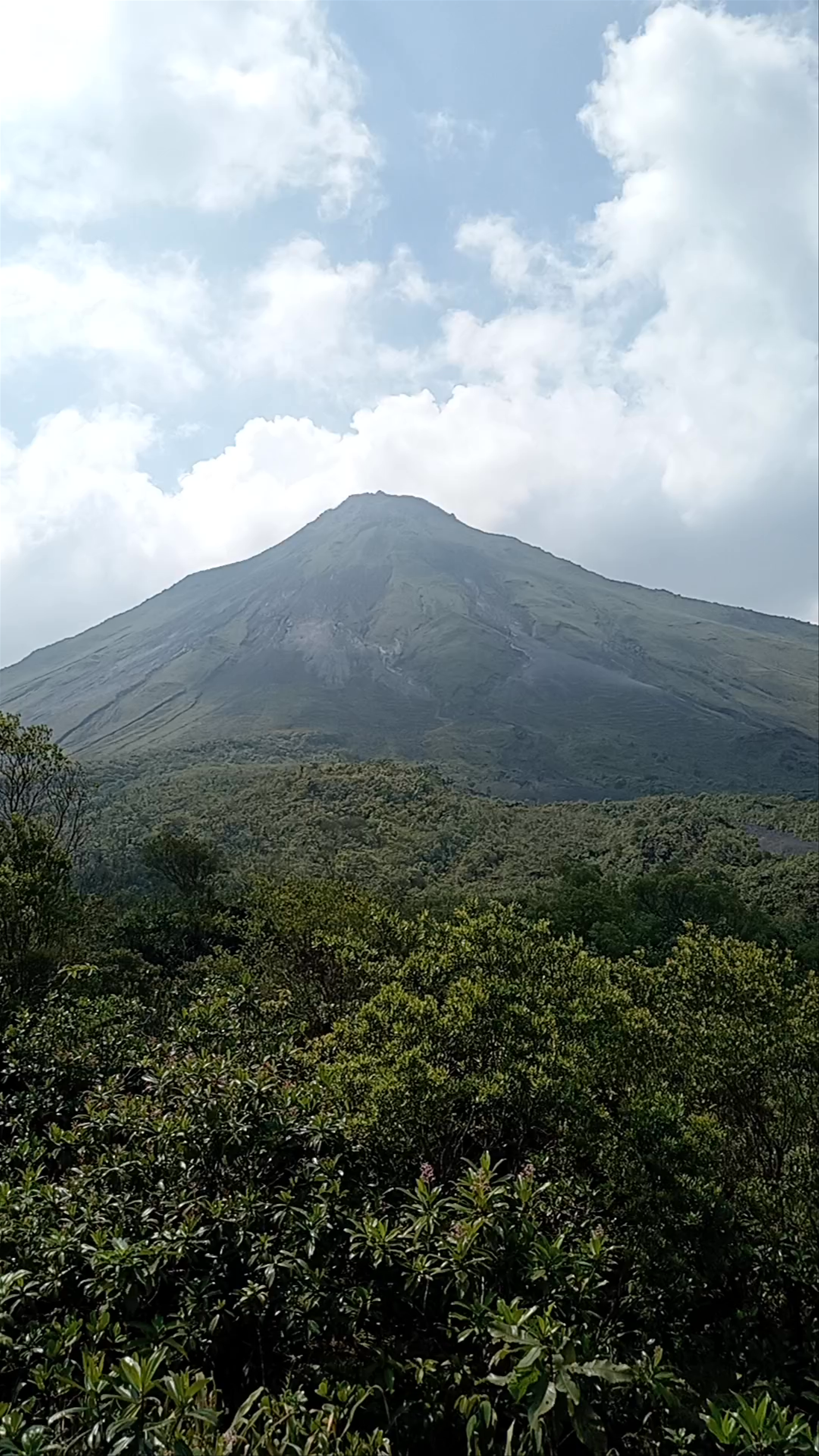 Parque Ecológico Volcán Arenal: Majestic Volcano and Lush Nature in La Fortuna